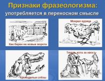 Phraseologisms with explanation in Russian
