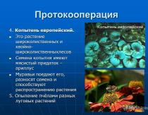 Biotic relationships of organisms Types of ecological interactions